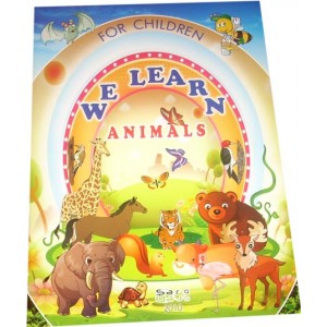 We learn English